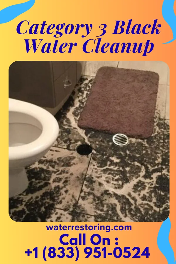 Category 3 Black Water Cleanup in Elephant Head, AZ